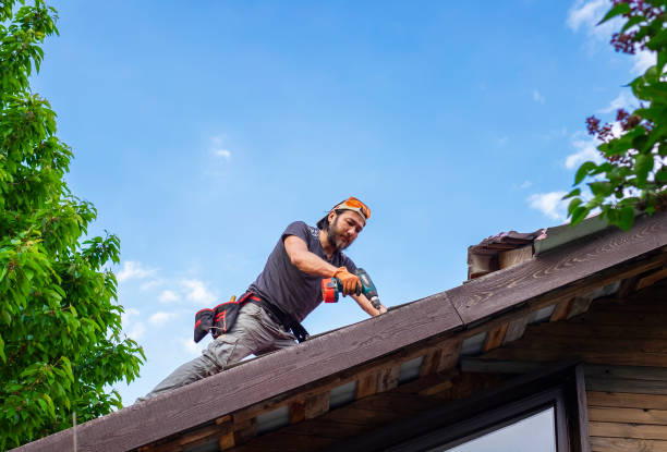 Best Roof Ventilation Installation  in Piedmont, AL